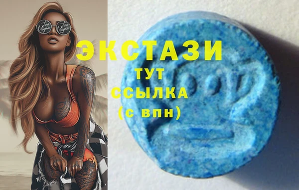 стафф Инта